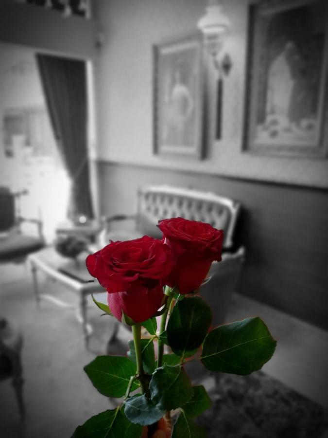 Elysion Hotel İstanbul Dış mekan fotoğraf